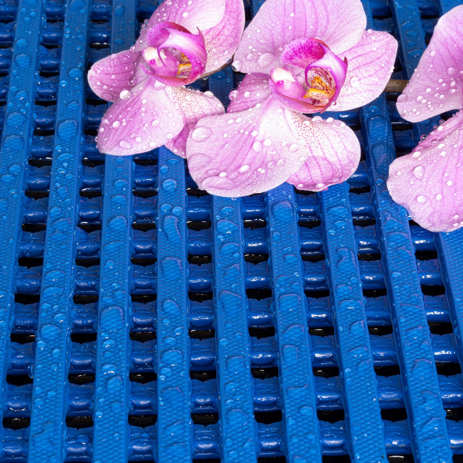 F5_Blau | Blau