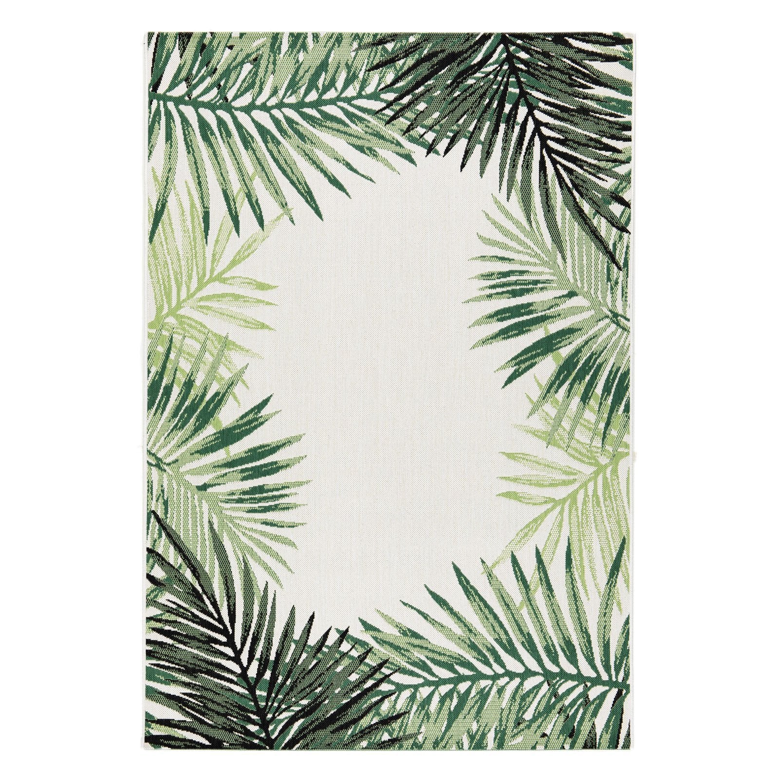 F1_Cycas
