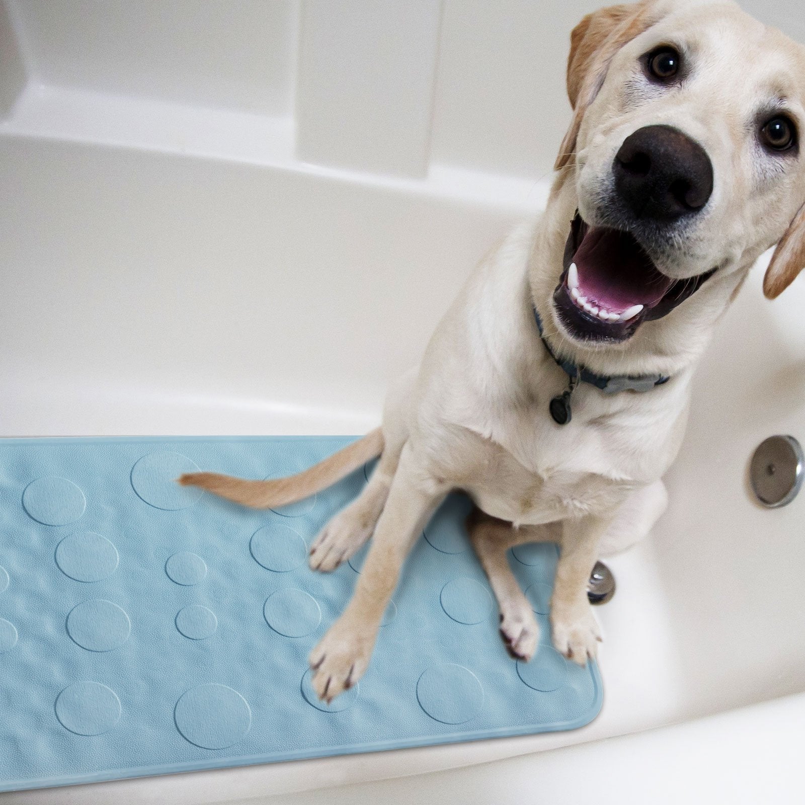 A1_Hellblau | Hellblau