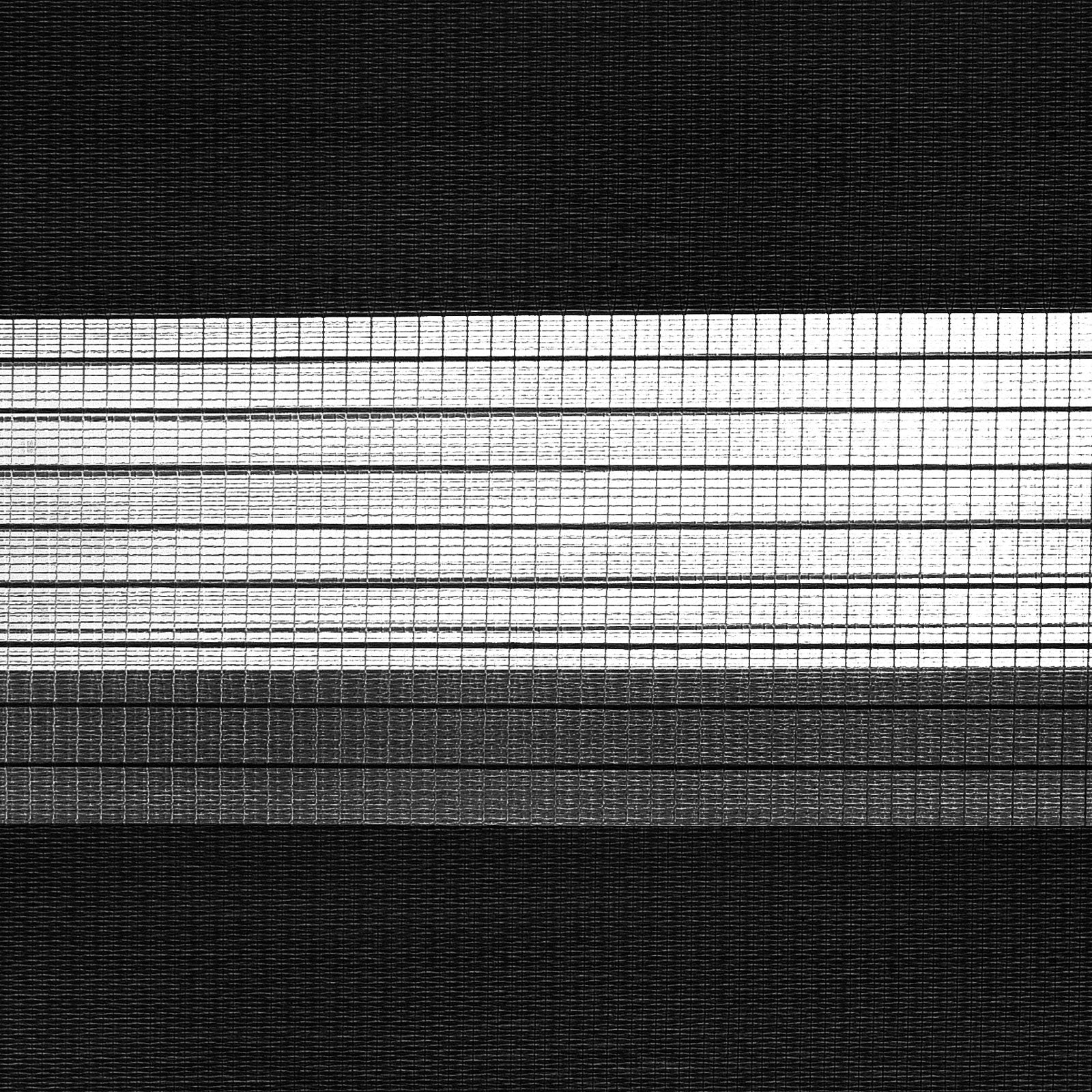 F2_Schwarz | Schwarz