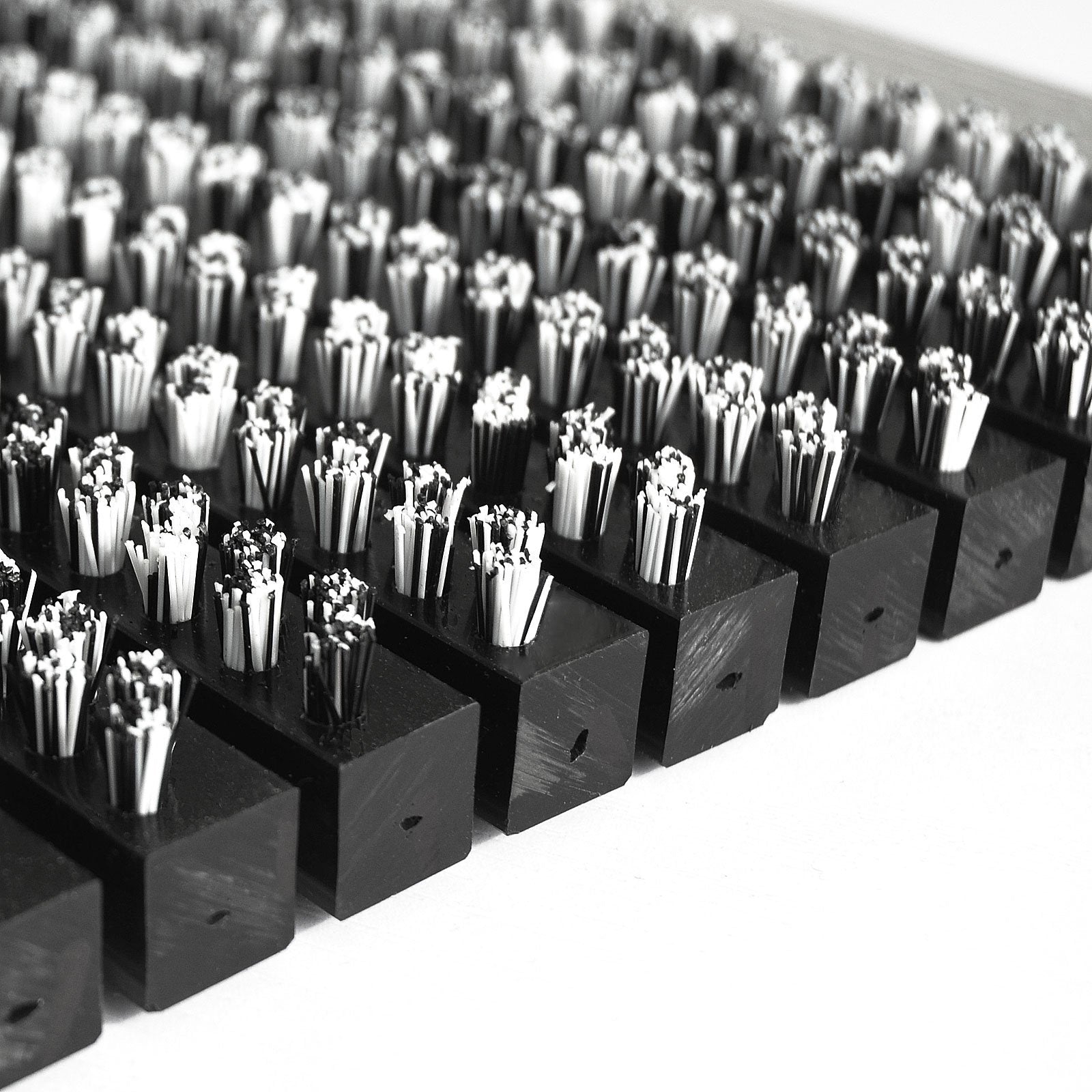 F3_Schwarz-Weiß | Schwarz-Weiß