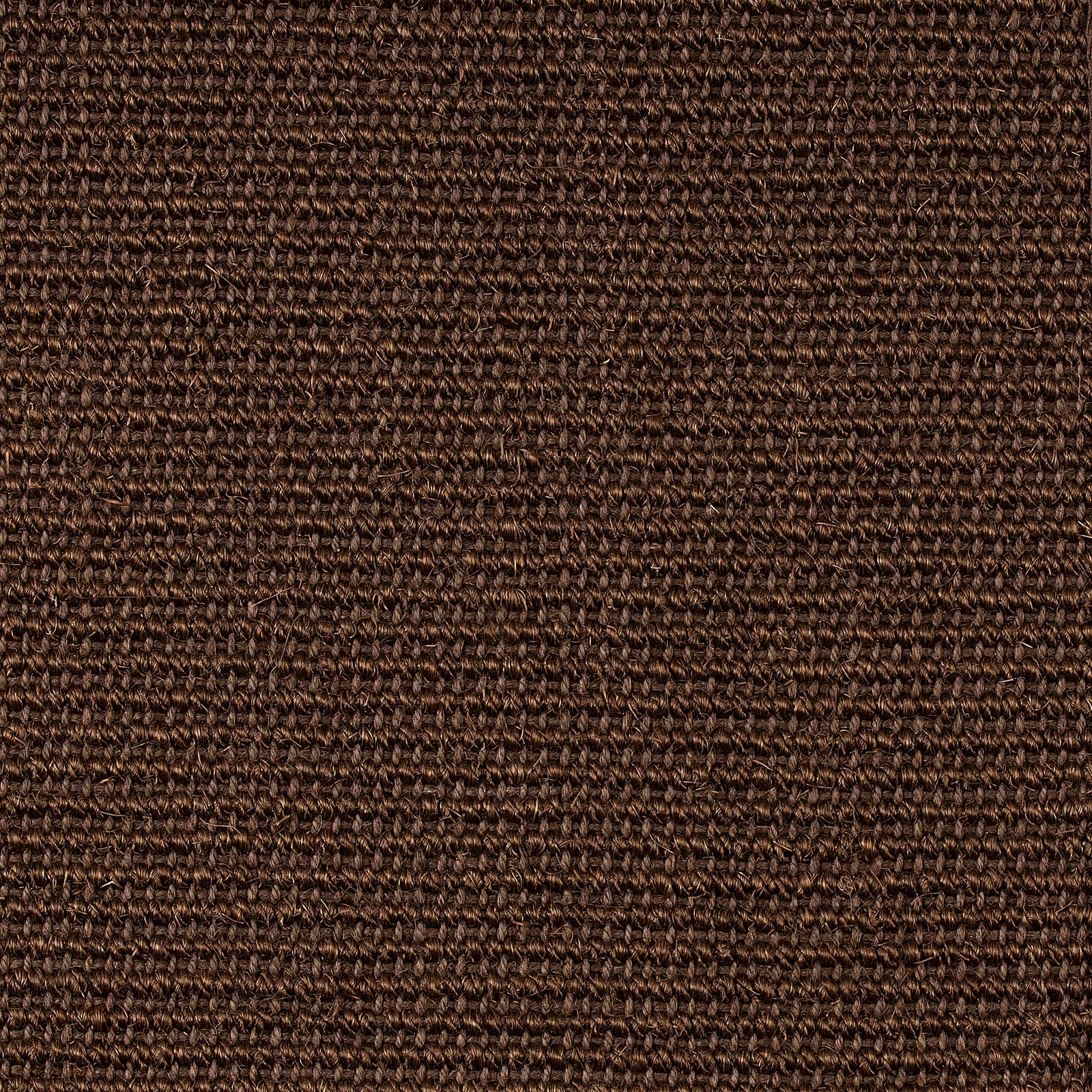 F3_Braun | Braun