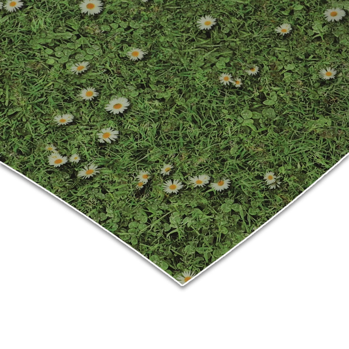 ✂ 3D CV-Belag | Daisies | Zuschnitt | Verschiedene Breiten