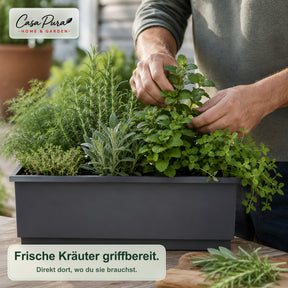 Balkonkasten | Viola | Metall-Balkonkasten mit Auffangschale für Balkon & Geländer