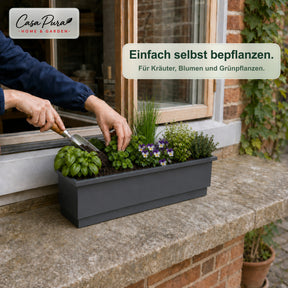 Balkonkasten | Viola | Metall-Balkonkasten mit Auffangschale für Balkon & Geländer