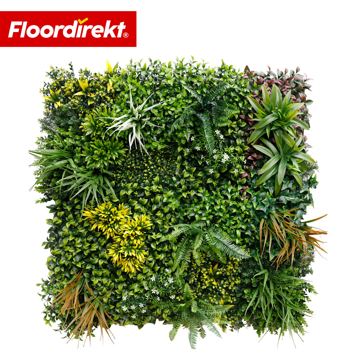 Pflanzenwand | Spring Garden | Natürliches, pflegefreies Grün-Panel | Sonnenbeständig & erweiterbar mit Klick-System | 100 × 100 cm